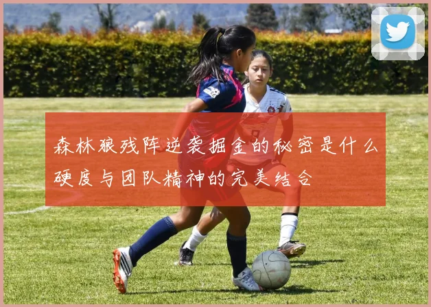 森林狼残阵逆袭掘金的秘密是什么硬度与团队精神的完美结合